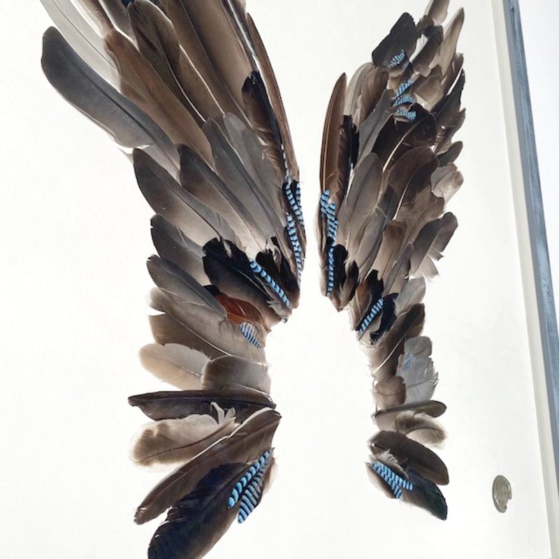 Blue wing 74x65 - SÅLD!